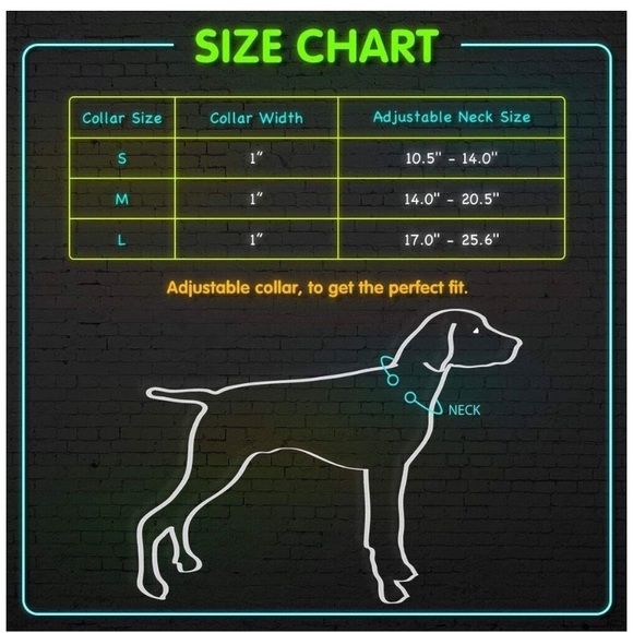 🆕 Clan-x LED Dog Collar, USB Rechargeable& Adjustable - Picture 7 of 7